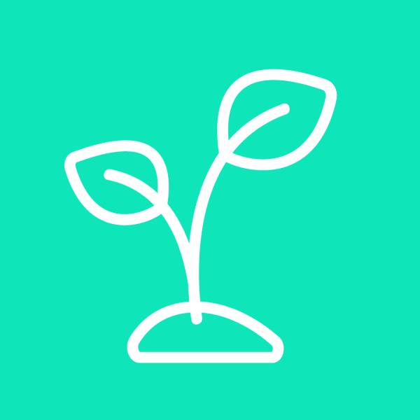 Plantio